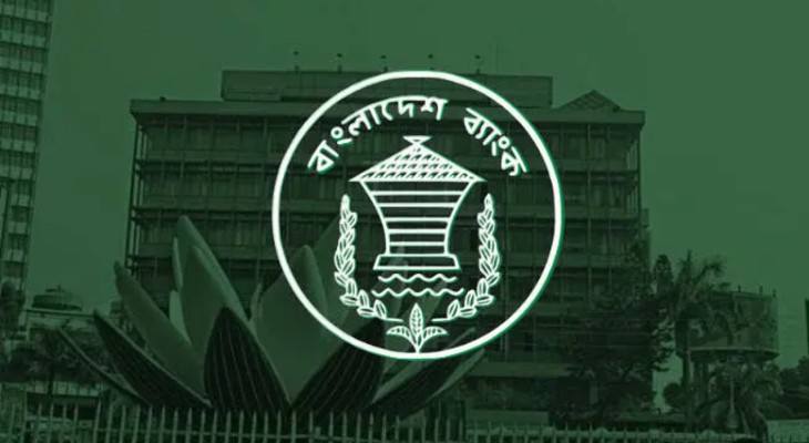 তিন দিন বন্ধ থাকার পর চালু বাংলাদেশ ব্যাংকের ওয়েবসাইট